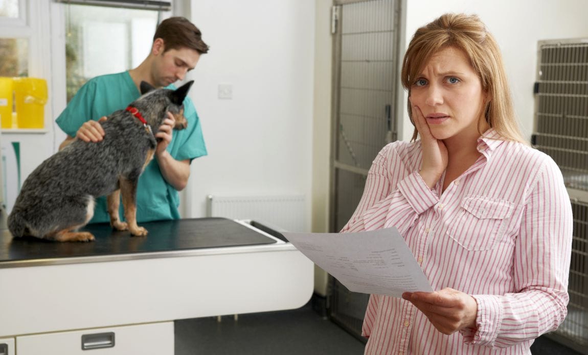 How to Get Help With Vet Bills: 17 Ways to Reduce Veterinary Care Costs